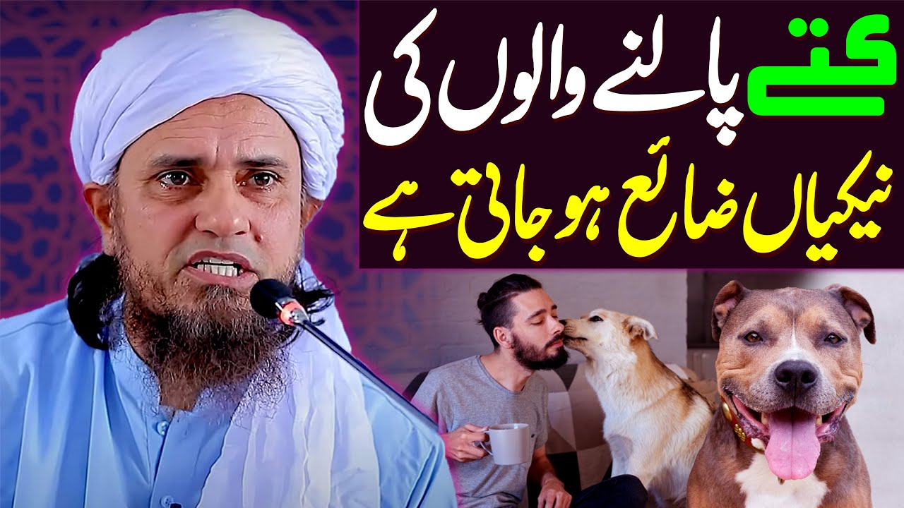 Kutta Palne Wale Ki Lakho Nekiyan Zaya Karti Hai | Mufti Tariq Masood Special | Kutta Palna
